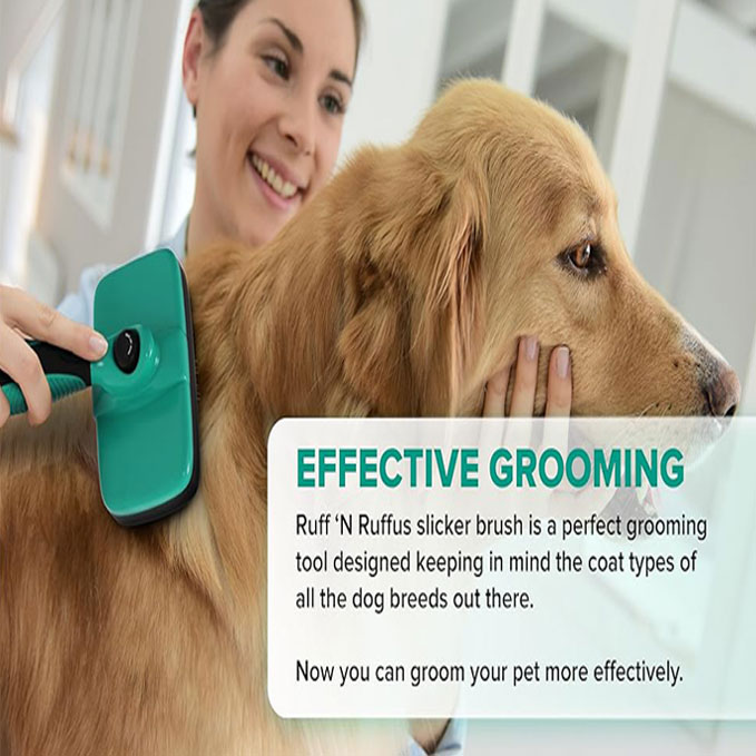 Self-Cleaning No-Pain Brush – GetDogWalk.com